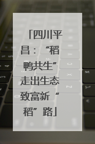 四川平昌：“稻鸭共生”走出生态致富新“稻”路